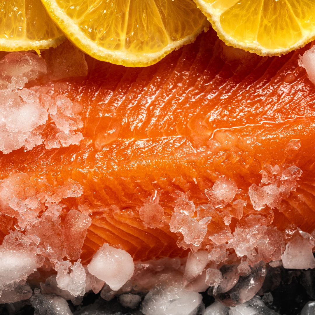 truta salmonada