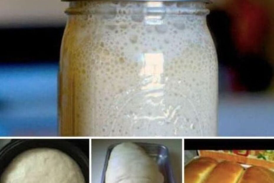 como fazer fermento caseiro para pão