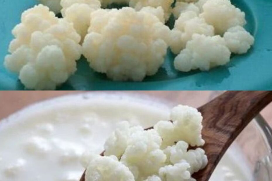 como fazer o kefir de leite