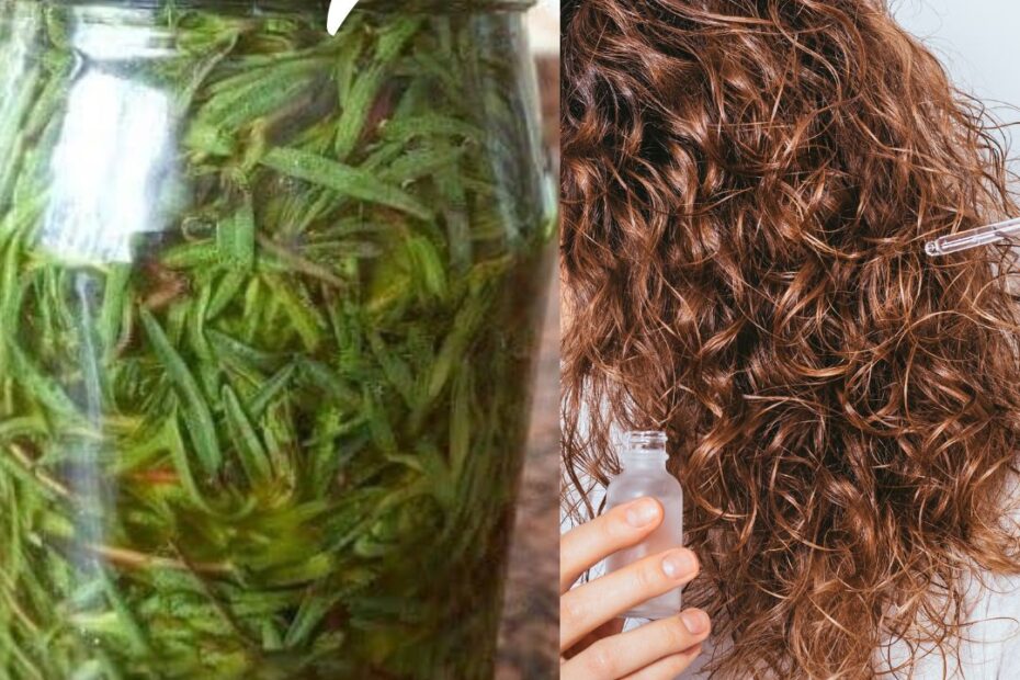 como fazer óleo de alecrim caseiro para cabelo