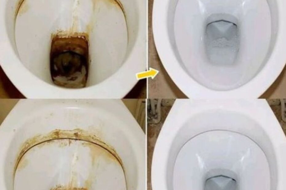 como limpar vaso sanitário com crosta