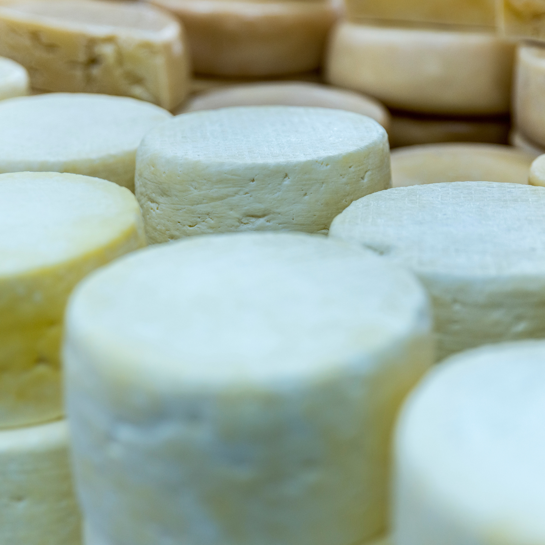 queijo minas caseiro