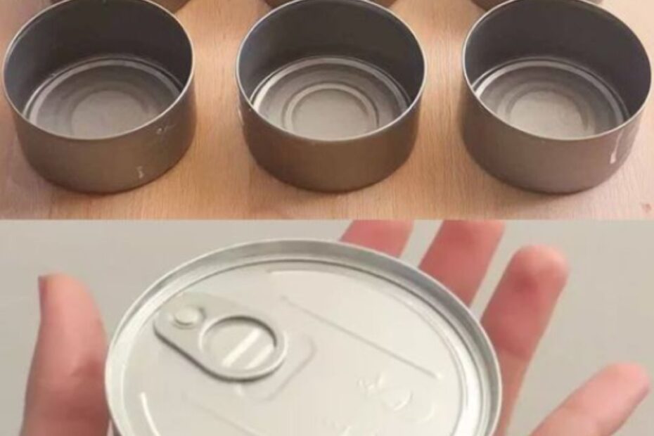 reutilizar latas de atum e sardinha