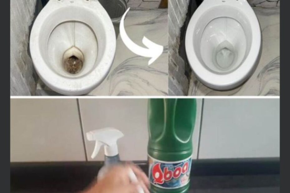 como tirar encardido do vaso sanitário