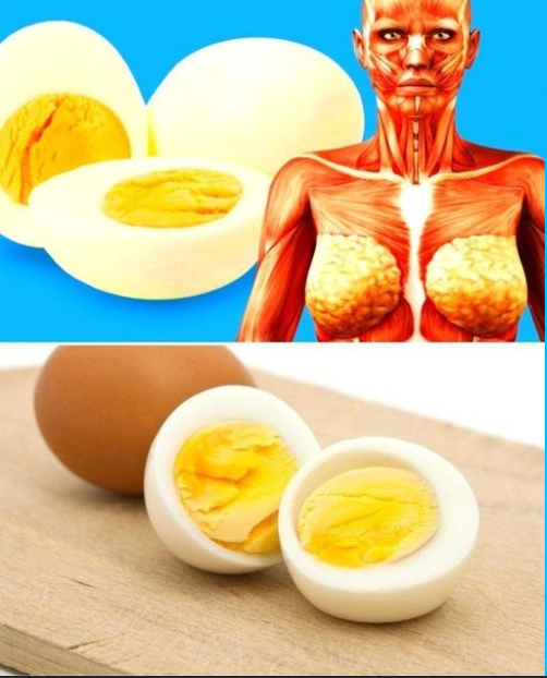 O que Acontece se Comer Ovos Todos os Dias?