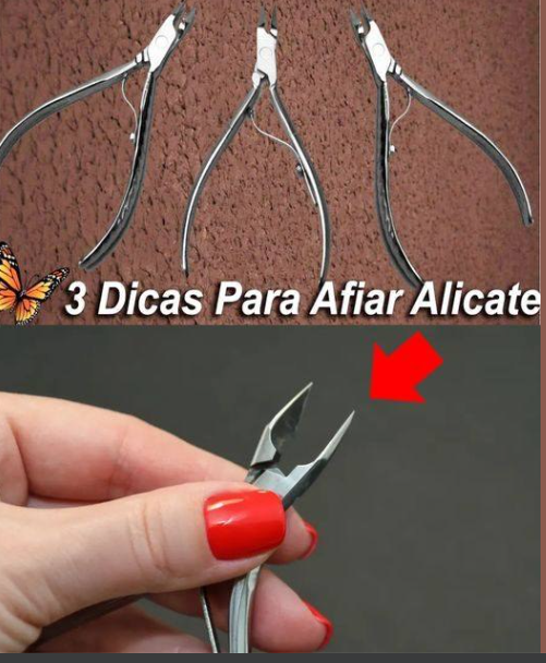 amolar alicate em casa.